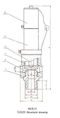 AQ空壓機安全閥外形尺寸圖（tú）