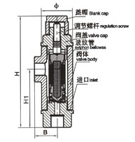 CS14H/F液體膨脹式膜盒式（shì）蒸汽疏（shū）水閥外形尺寸圖