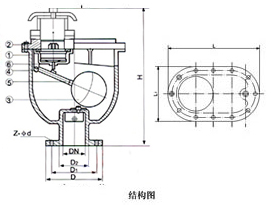 CARX複合式（shì）排氣閥外形尺寸圖（tú）